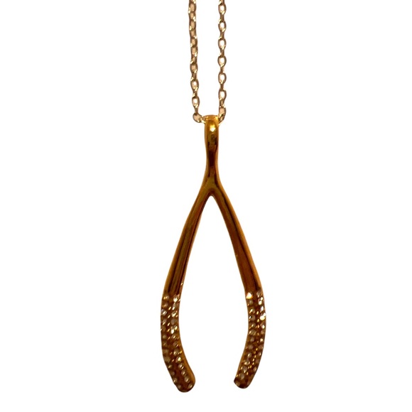 BaubleBar Jewelry - BaubleBar Lucky Wishbone Layering Necklace